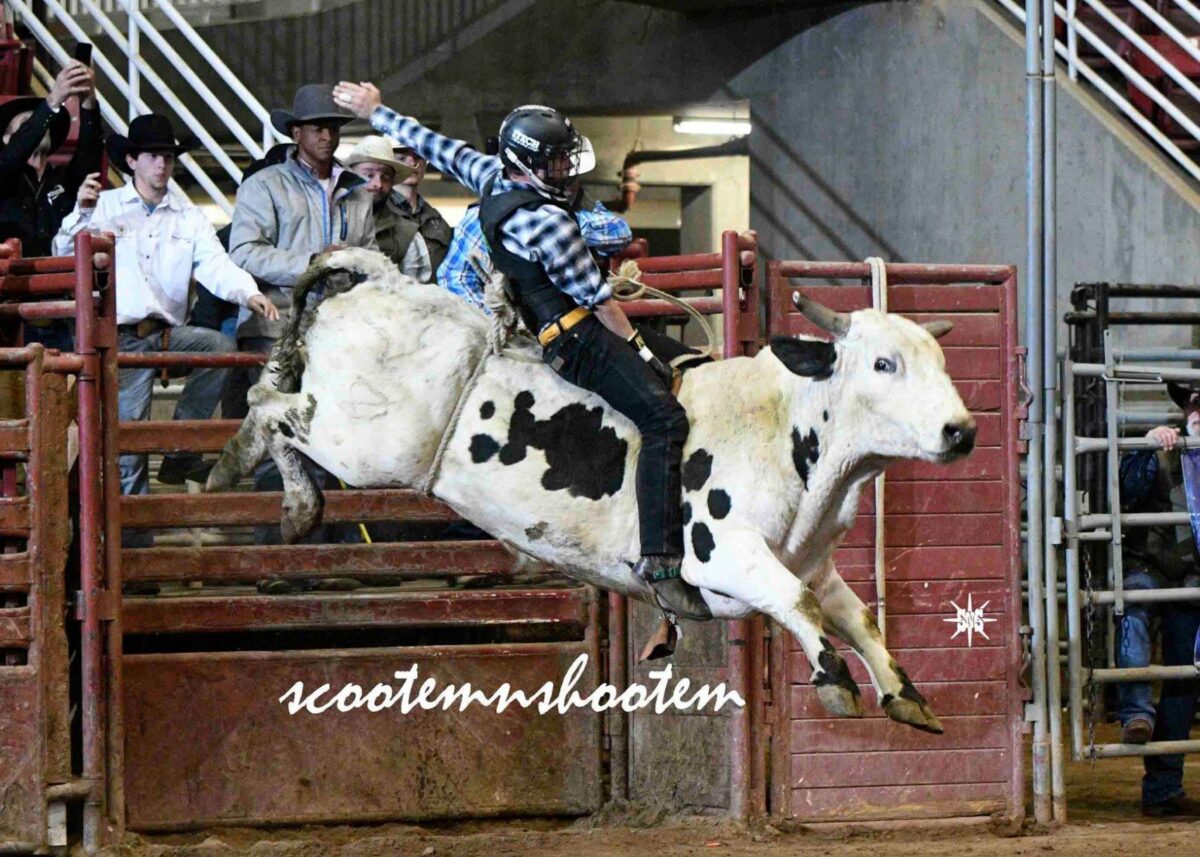 Bull Wars returning to Ogden on New Year’s Eve News, Sports, Jobs